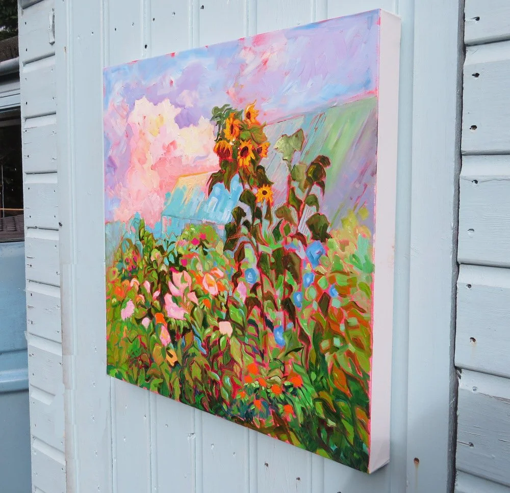 Allotment with Dahlias...JPG