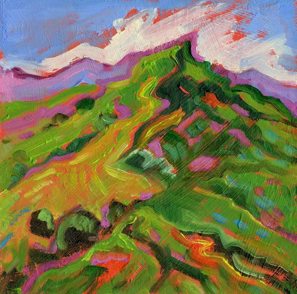 S 2239SS Summit oob 6 x 6 .JPG