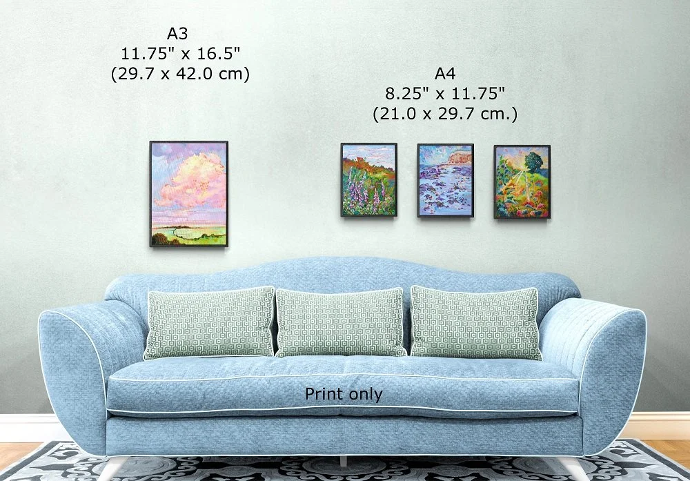 Info prints with disclaimer) s.jpg