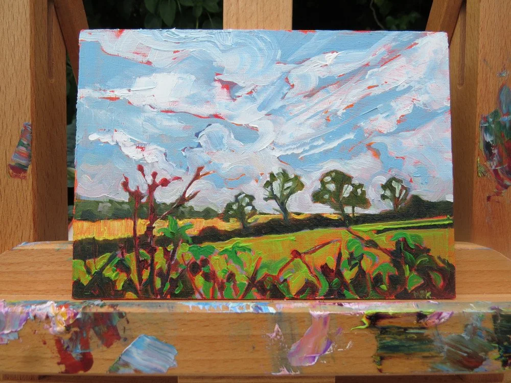 Mary Kemp,Fields and hedgerows  (2).JPG