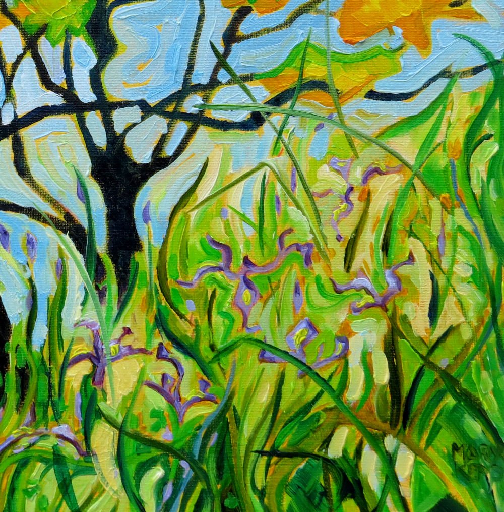 Mary kemp, Tangled Irises (4).JPG