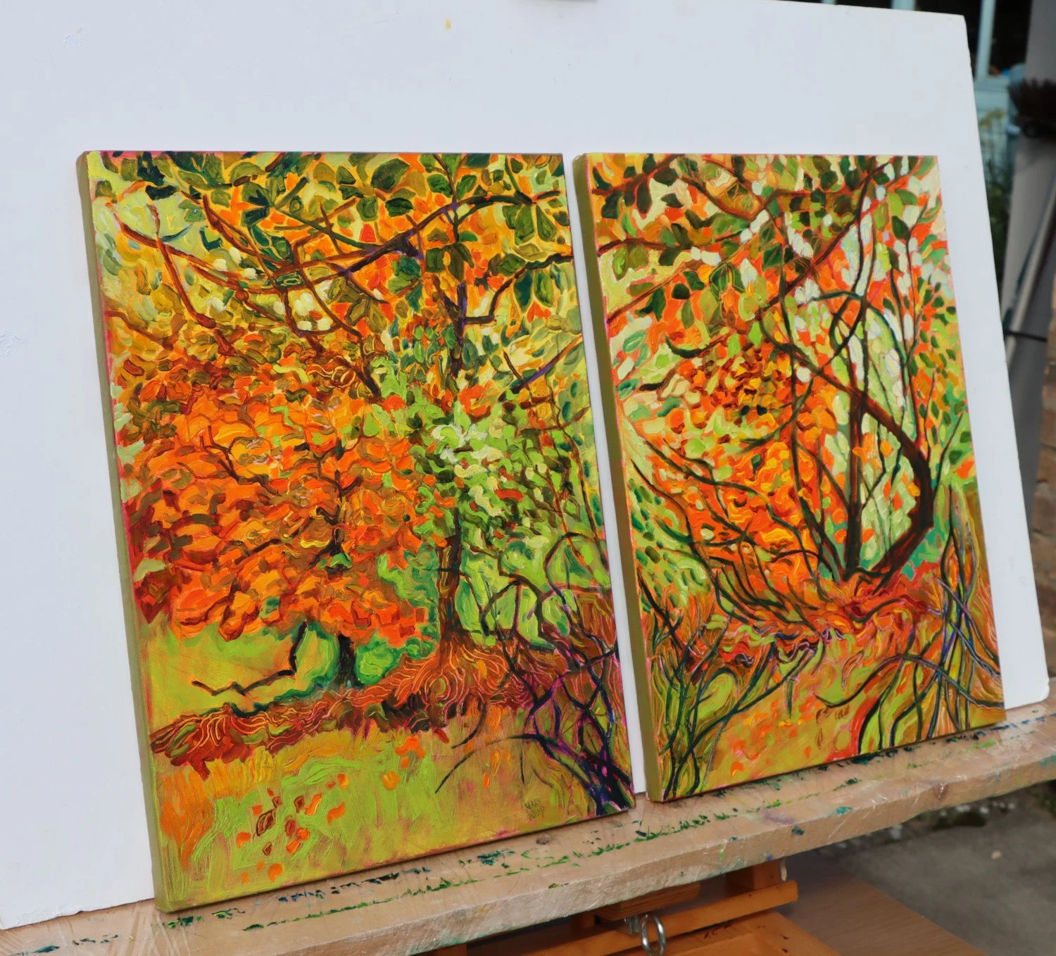 WT 2510-11s together.JPG