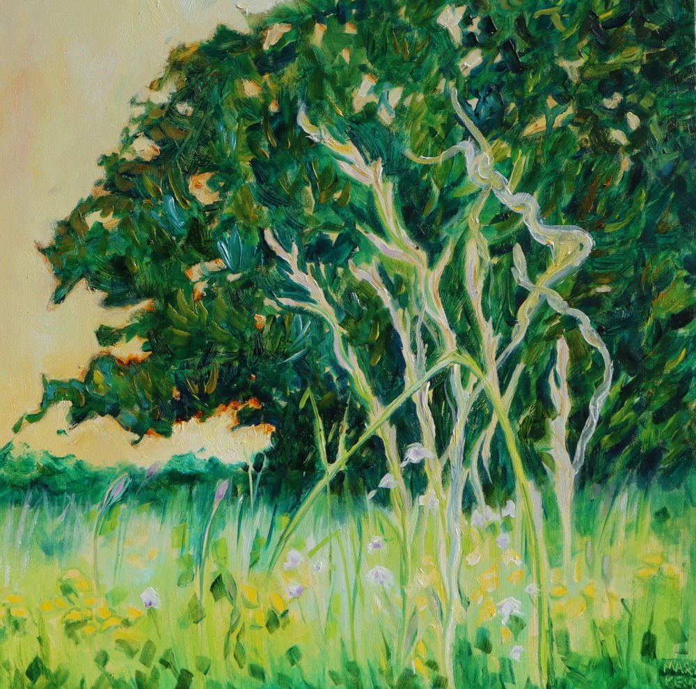 WT 2638ssTrees that Protect 00c 50 x 50 x 4.JPG