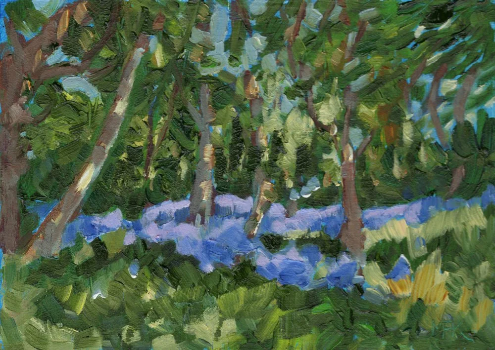 S 2604ss Bluebell Sunlight oob 7 x 5.JPG