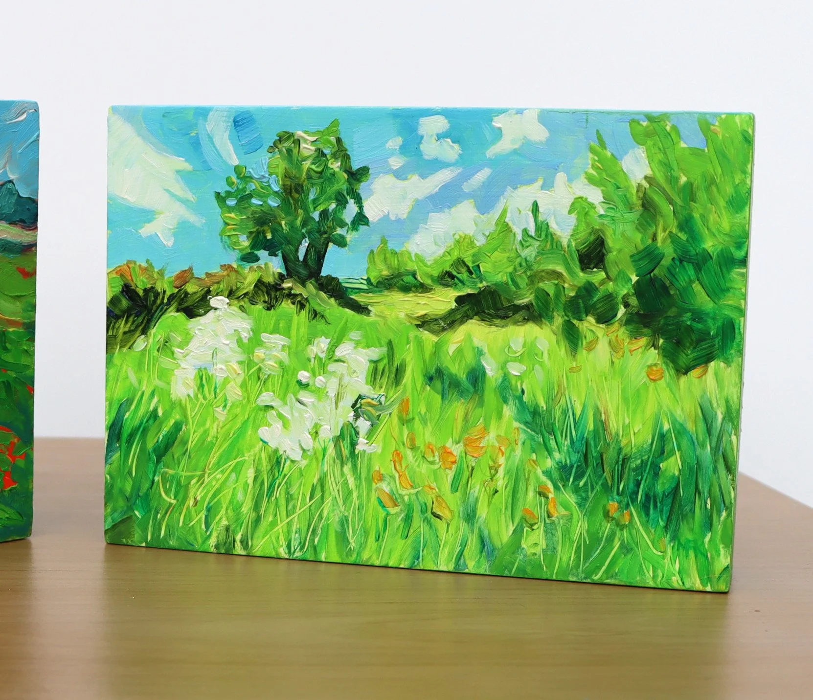 poppies and spring field.d.JPG