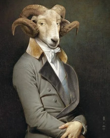 Funny+Animal+Portrait+04.jpg