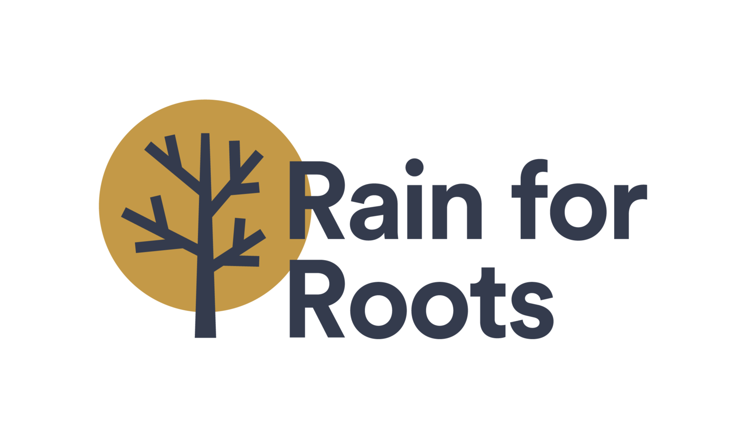 Rain for Roots