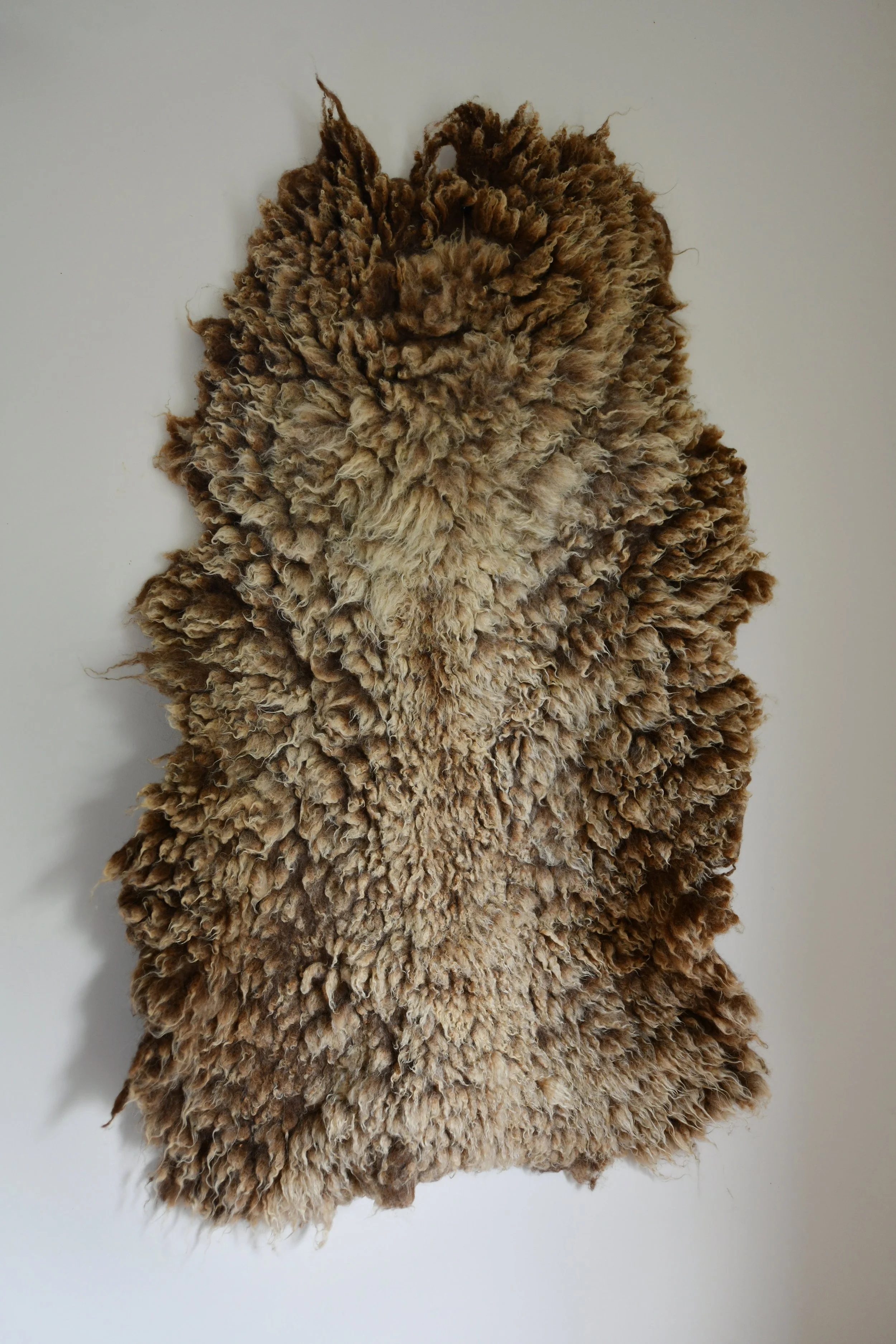Large Shetland Fleece