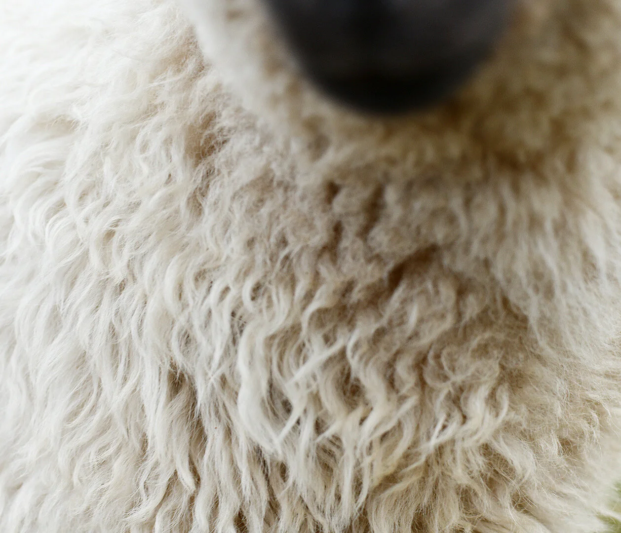 3EA6B93C-1863-464C-99A8-E3A61B05BFDA 2.JPG