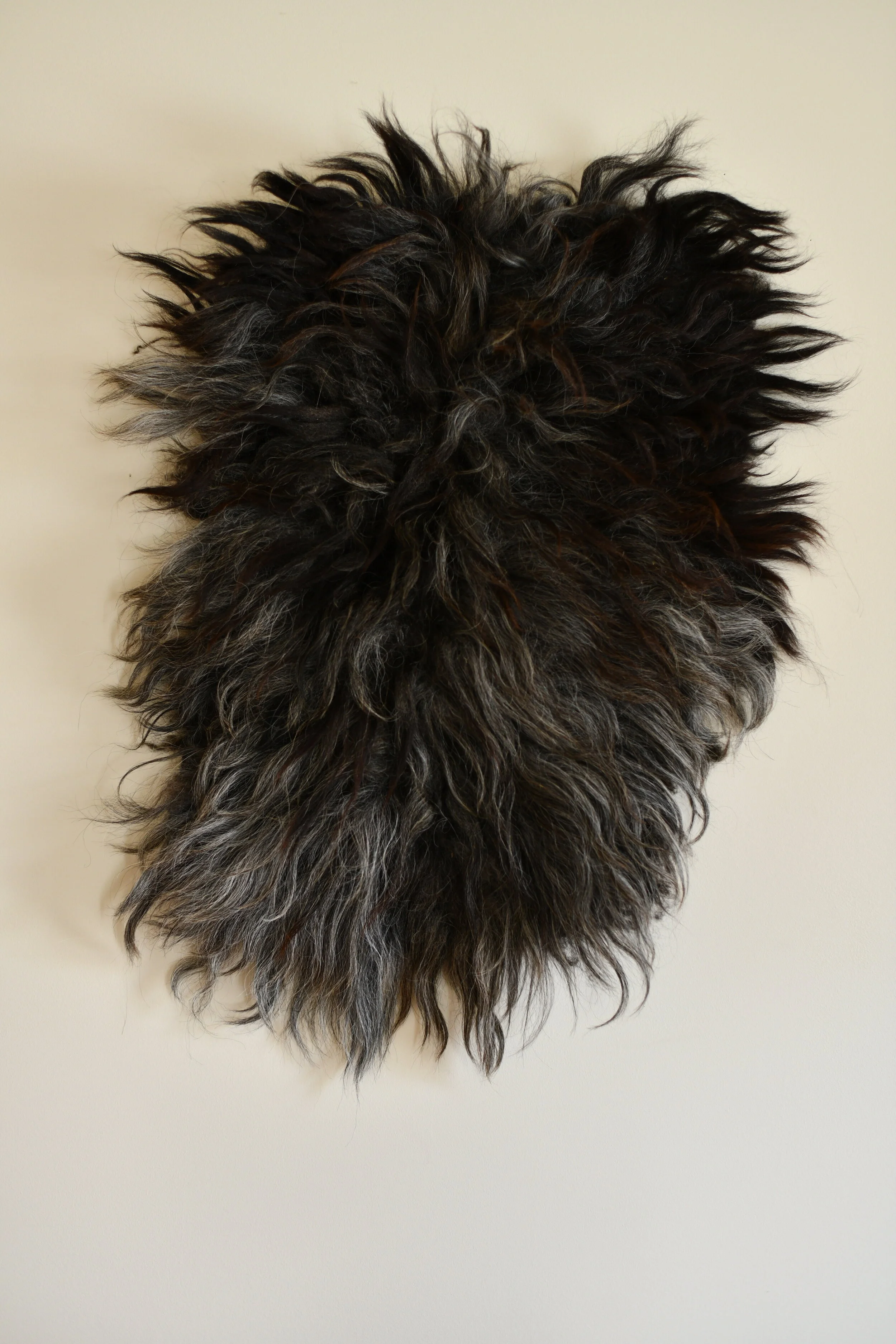 Karakul fleece - Rare Breed - Reddish Black -