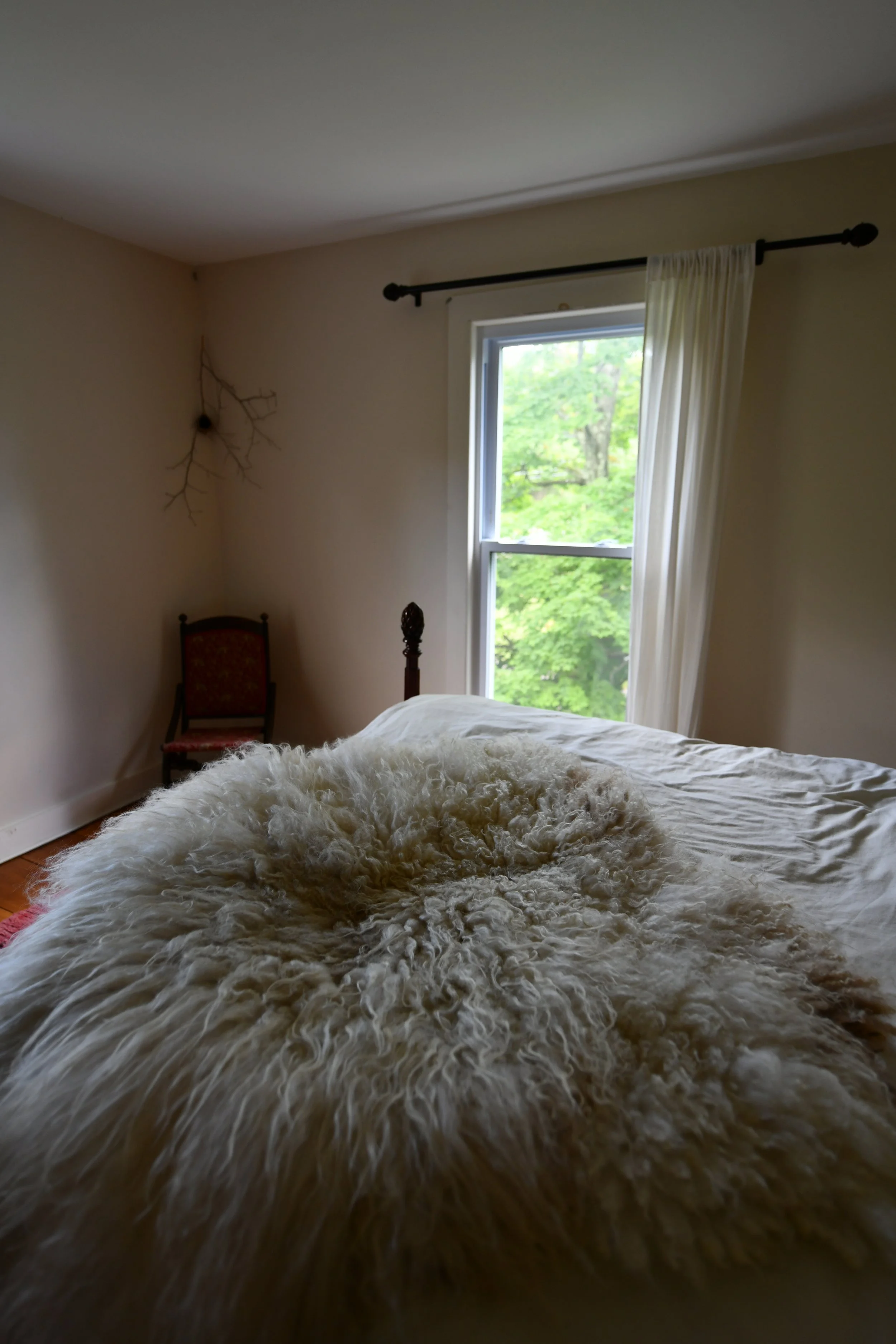 DSC_9007.JPG