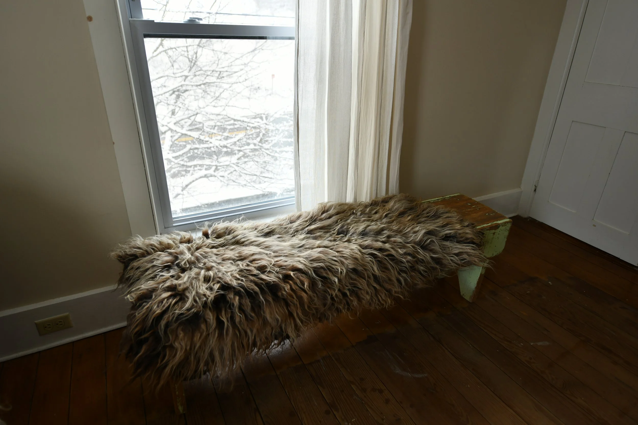 DSC_1108.JPG
