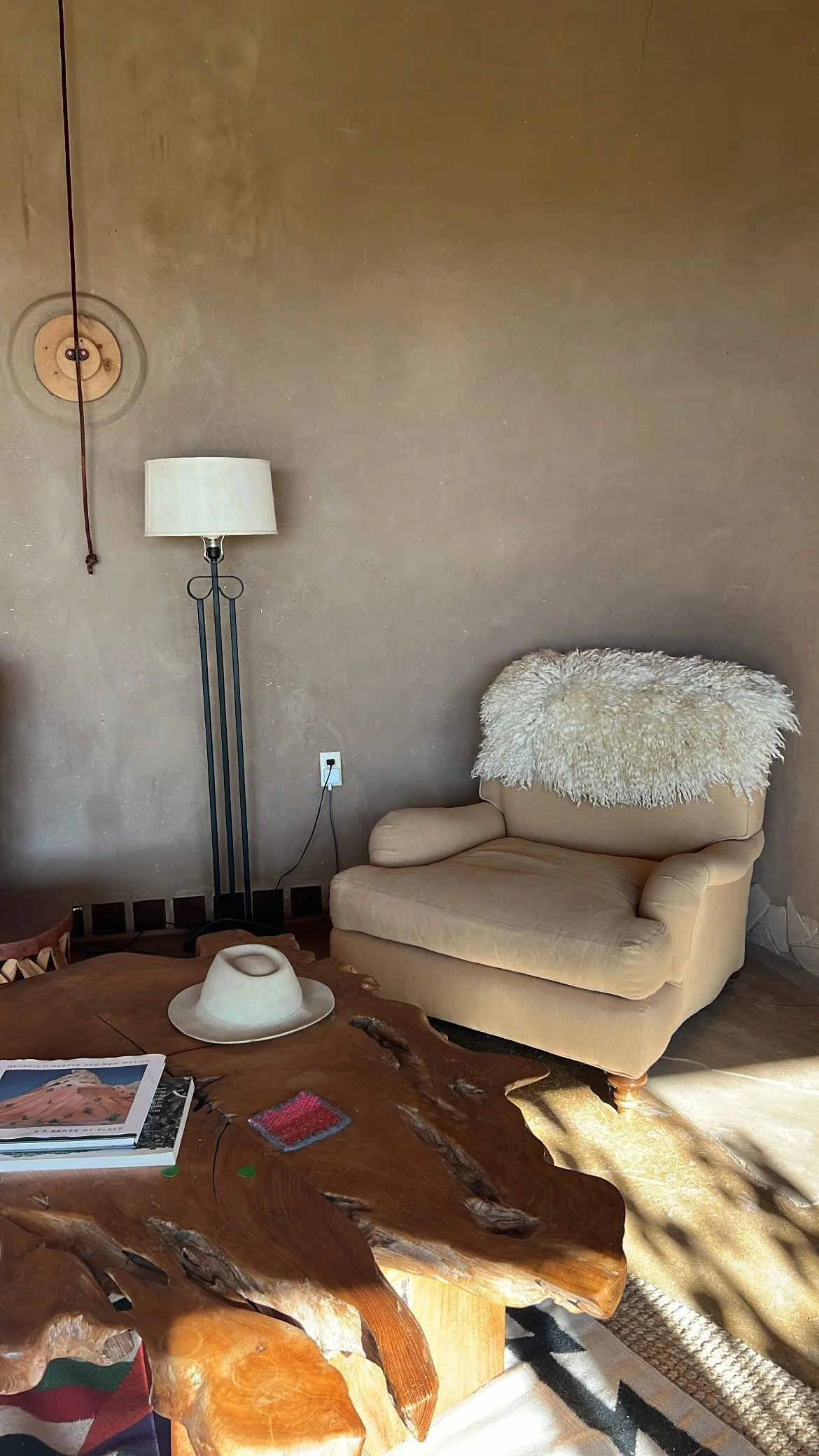 White Cotswold - Rare Breed