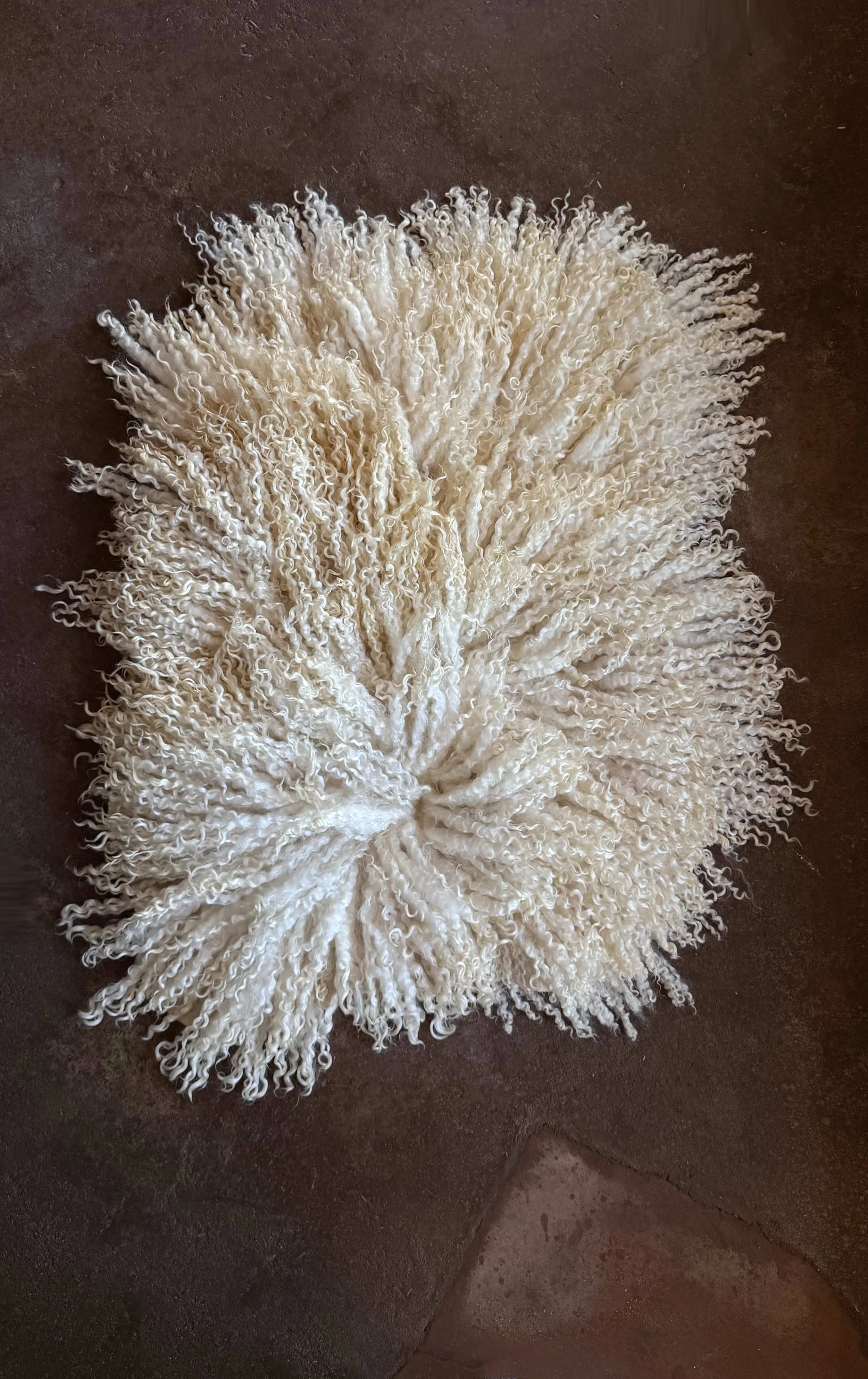 White Teeswater Fleece