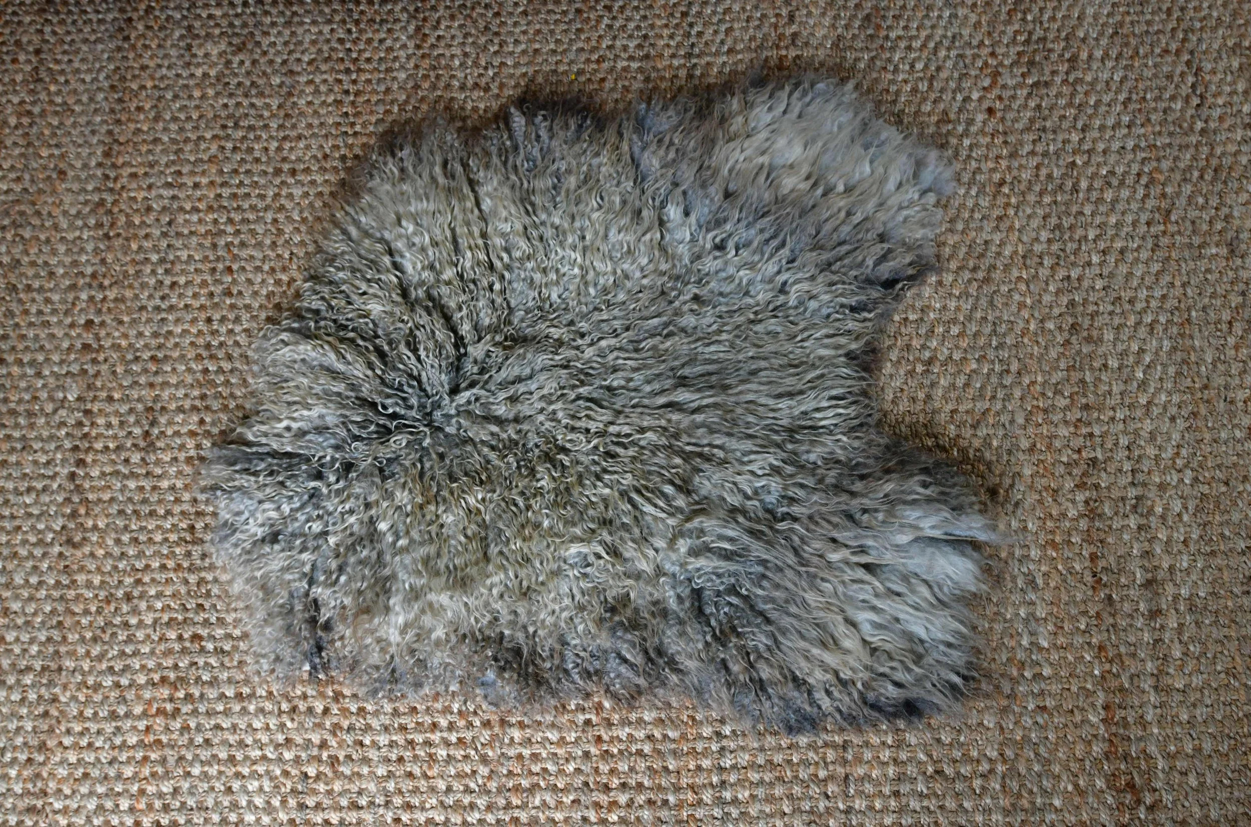 DSC_0606.jpg