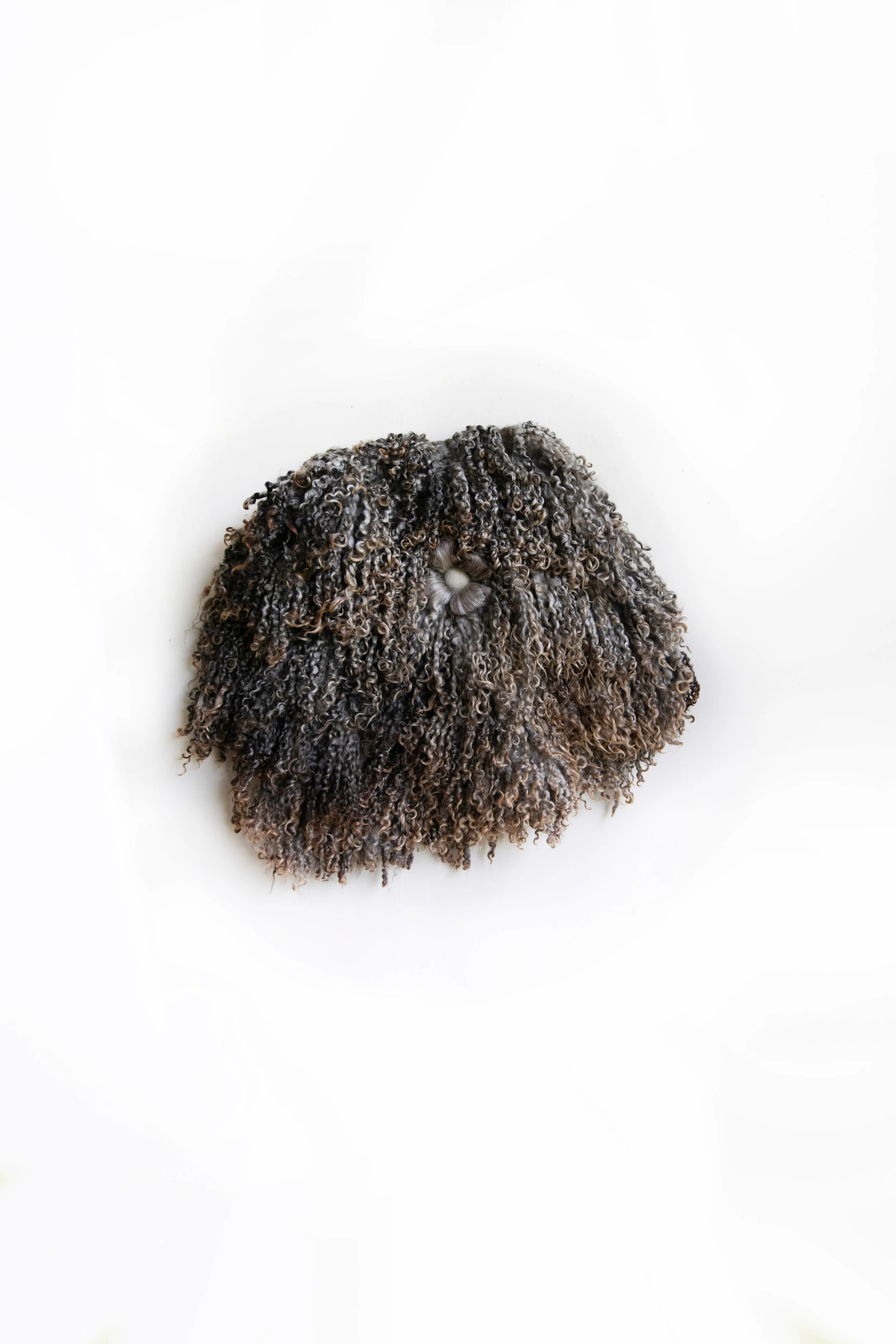 Sterling Silver Teeswater Fleece
