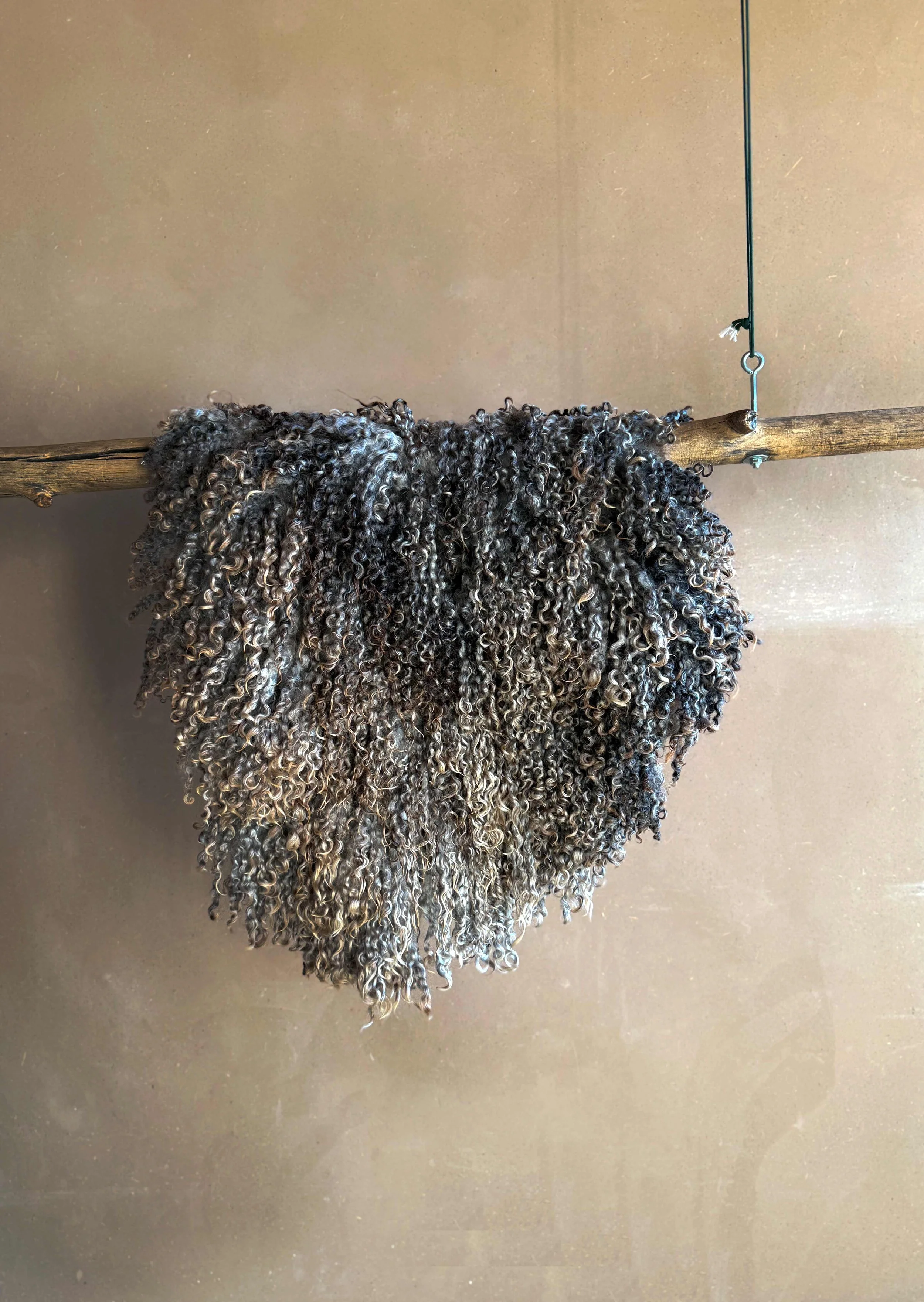 Silver Teeswater Fleece