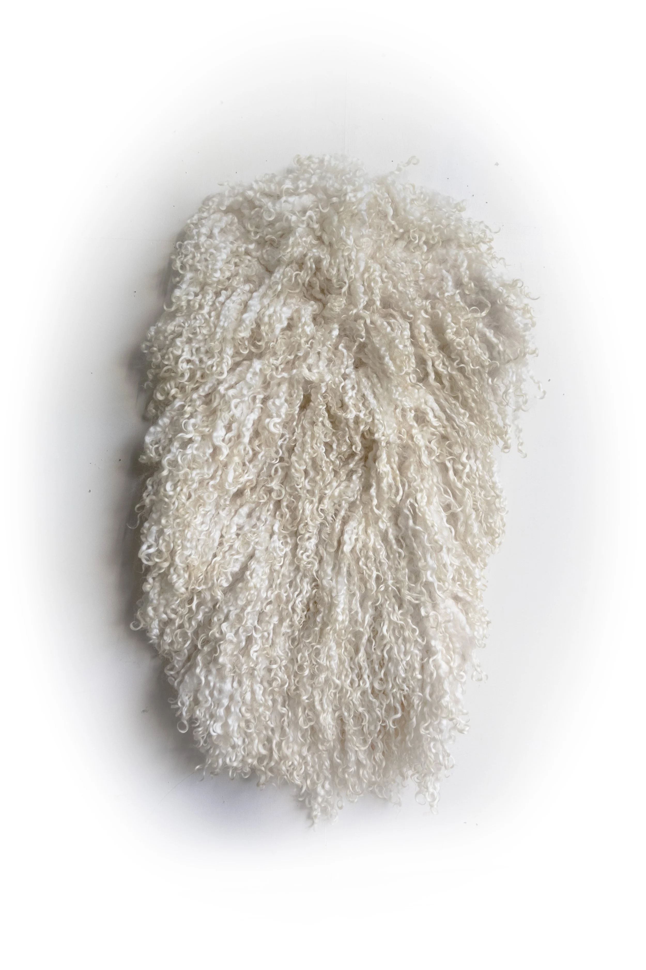 White Teeswater Fleece