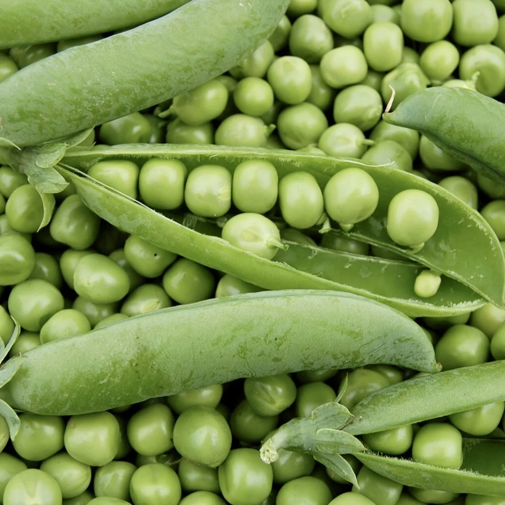 Caseload Pea