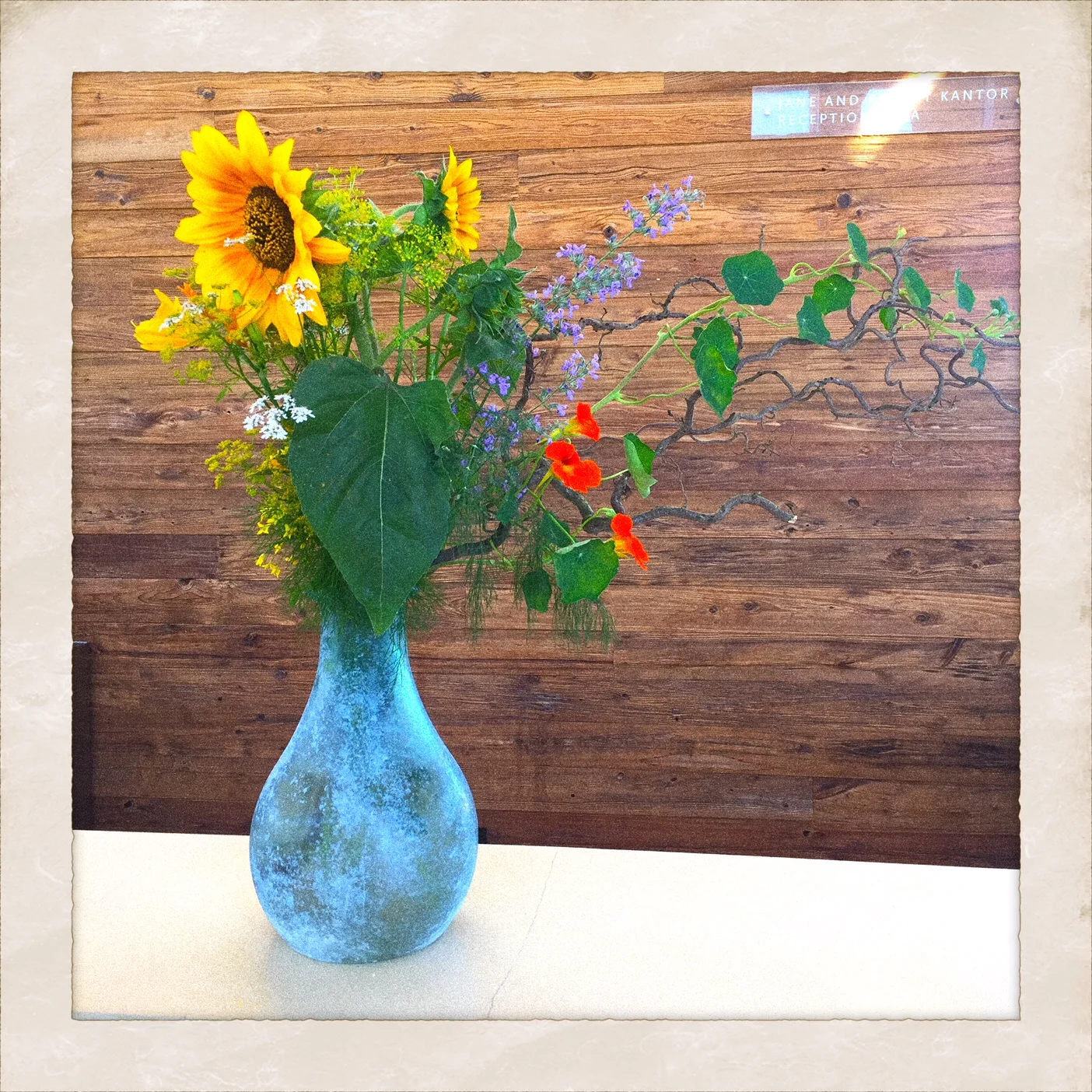 Photography — Farmacie Isolde