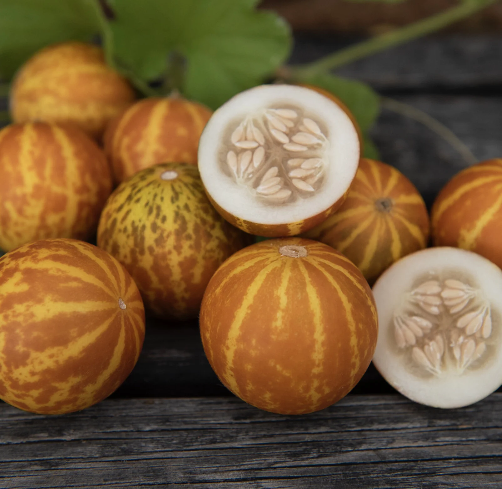 Queen Anne's Pocket Melon