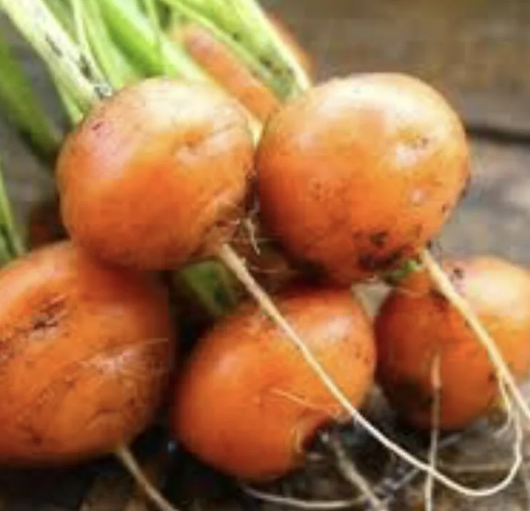 Paris Market Carrot
