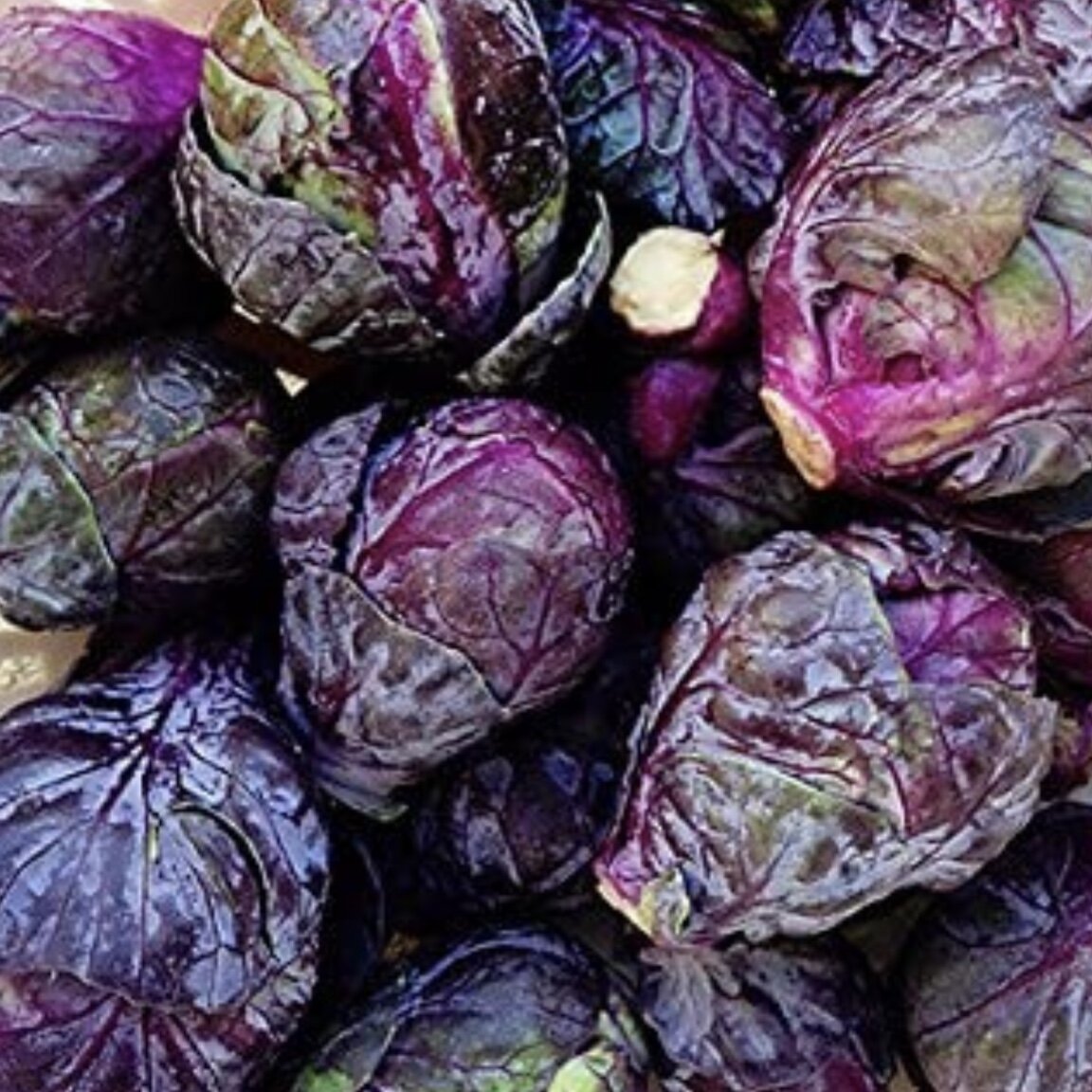 Red Ball Brussels Sprouts