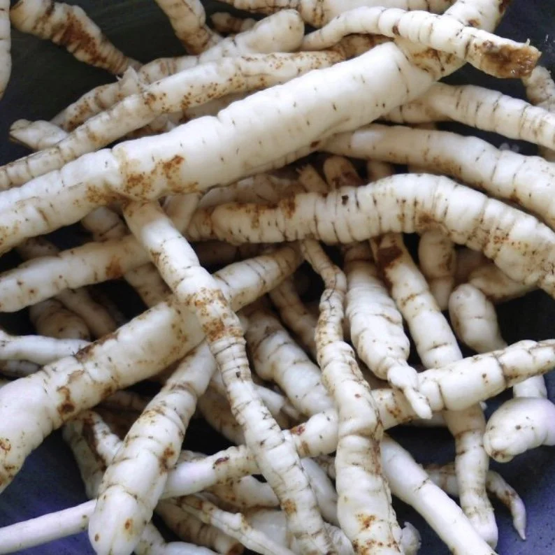 Skirret