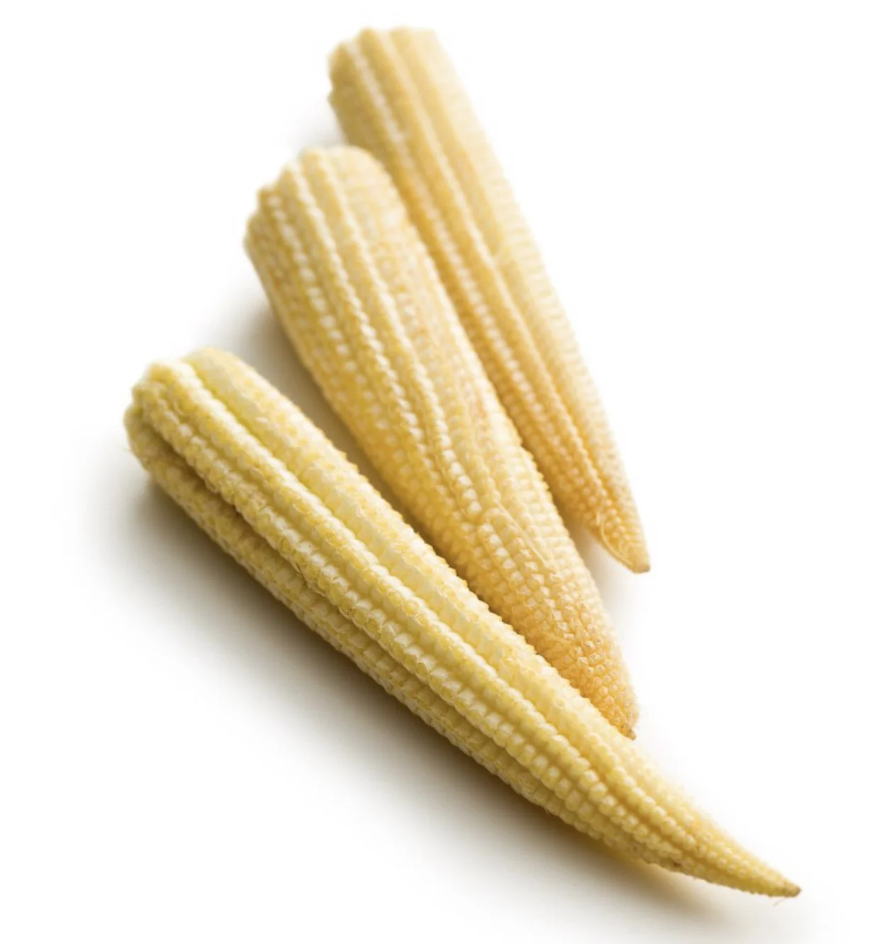 526D3F1E-ECE2-47EC-91AB-382963725A33.jpeg