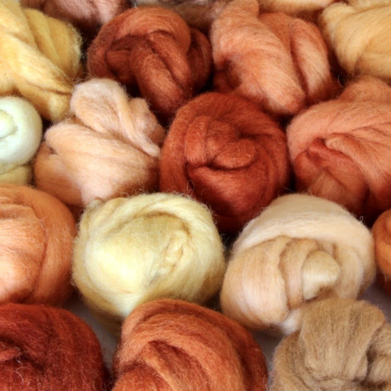 Dwarf Red Dyer's Coreopsis