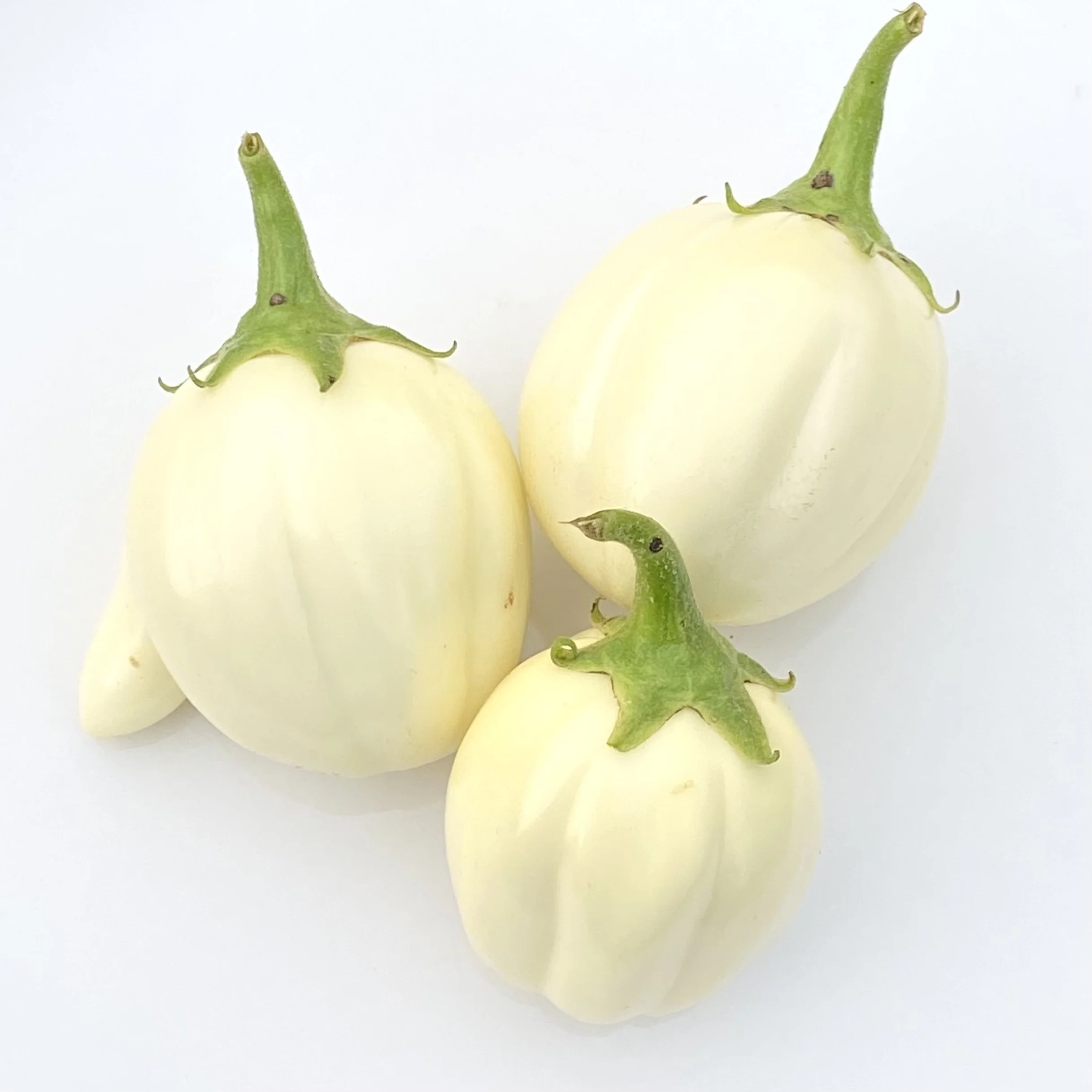 Sweet White African Eggplant