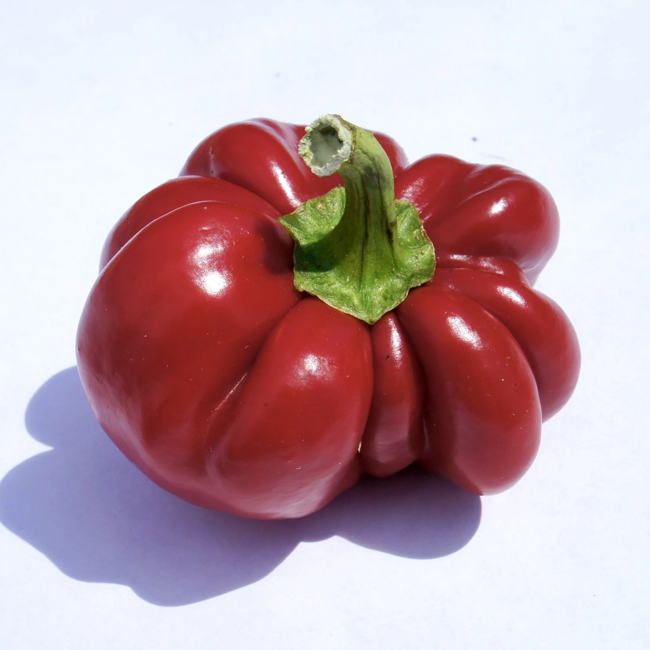 Ralph Thompson Pepper