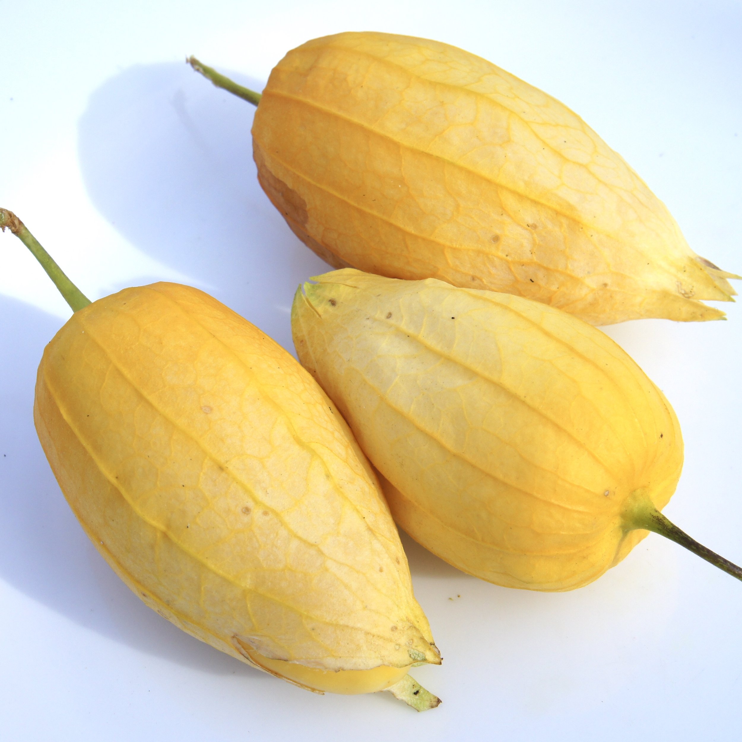 Acorazonado Tomatillo