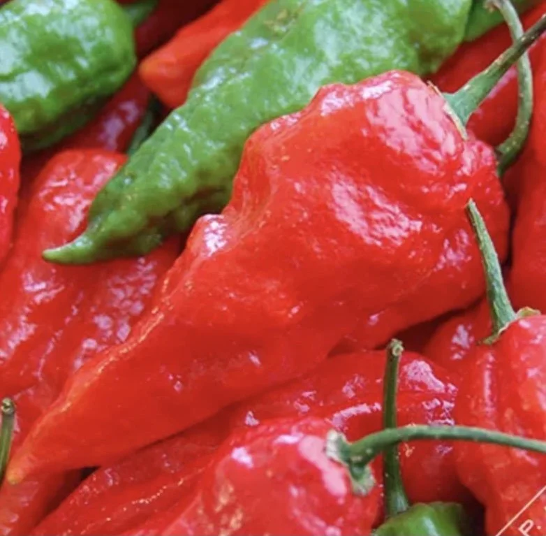 Ghost Pepper