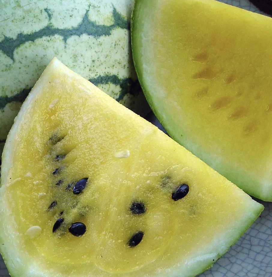 Early Moonbeam Watermelon