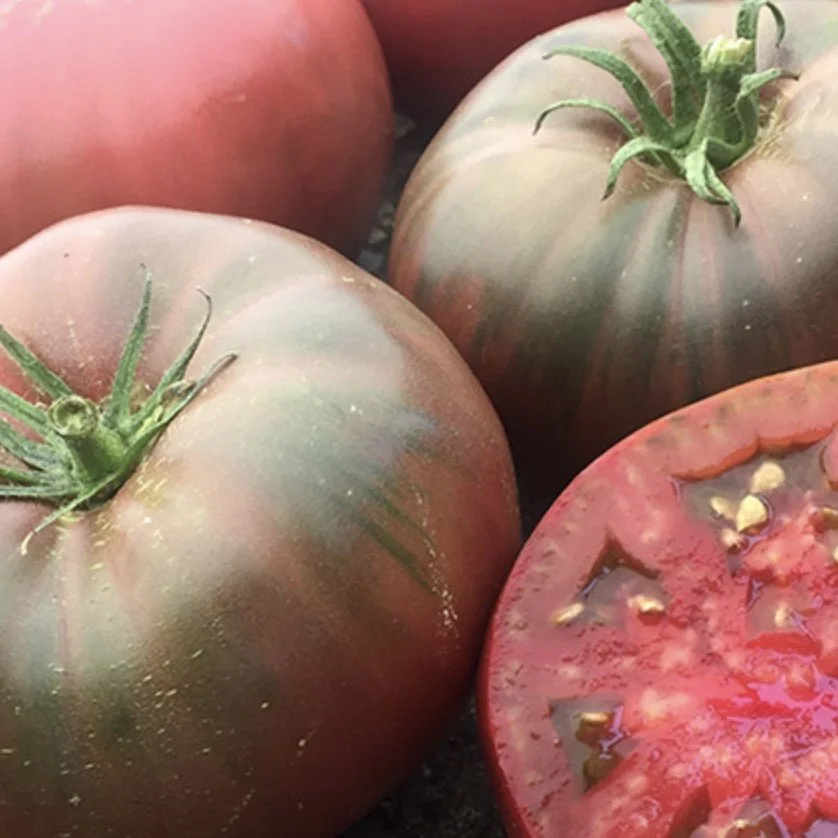 Black Krim Tomato