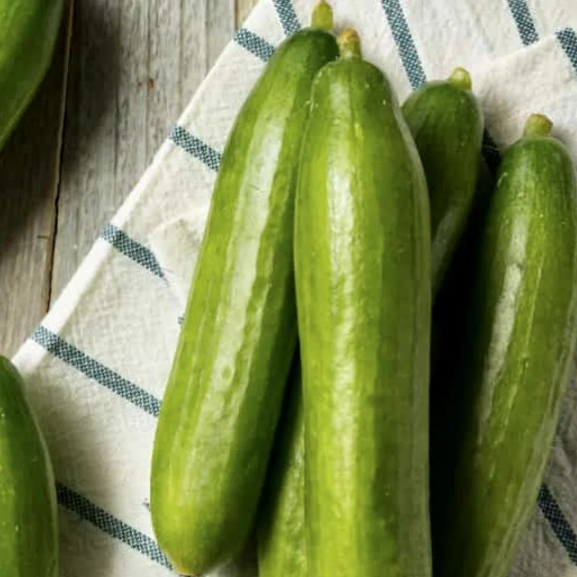 Mideast Peace Cucumber