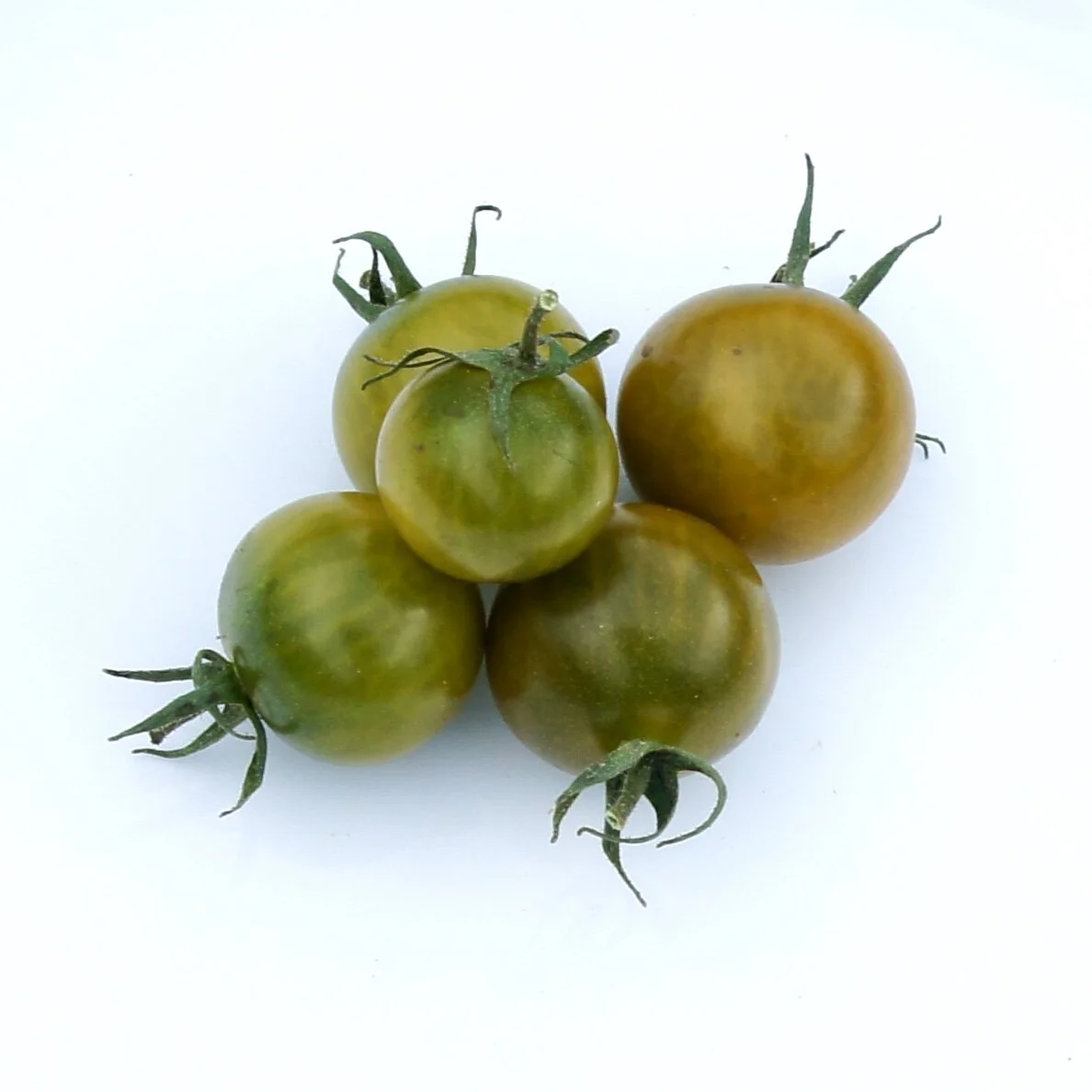 Pocket Star Tomato