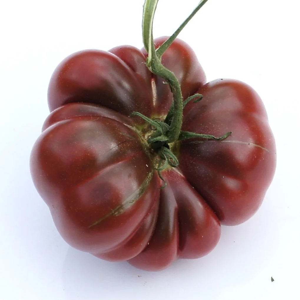 Purple Calabash Tomato