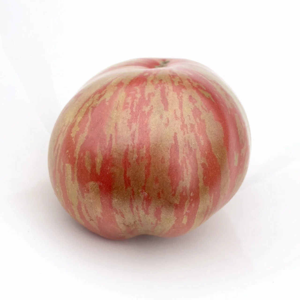 Cherokee Tiger Dwarf