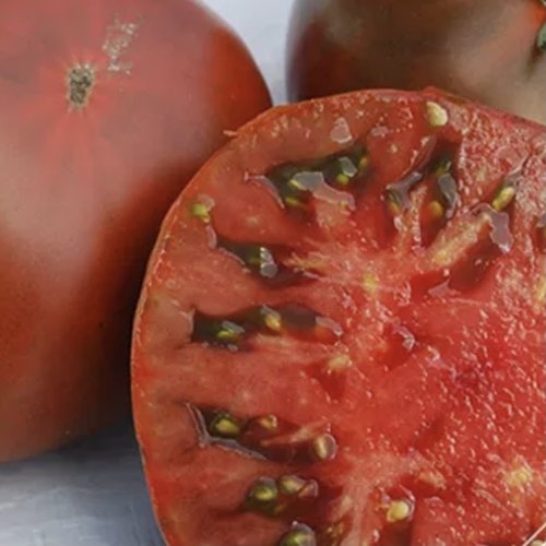 Pocket Star Tomato — Farmacie Isolde