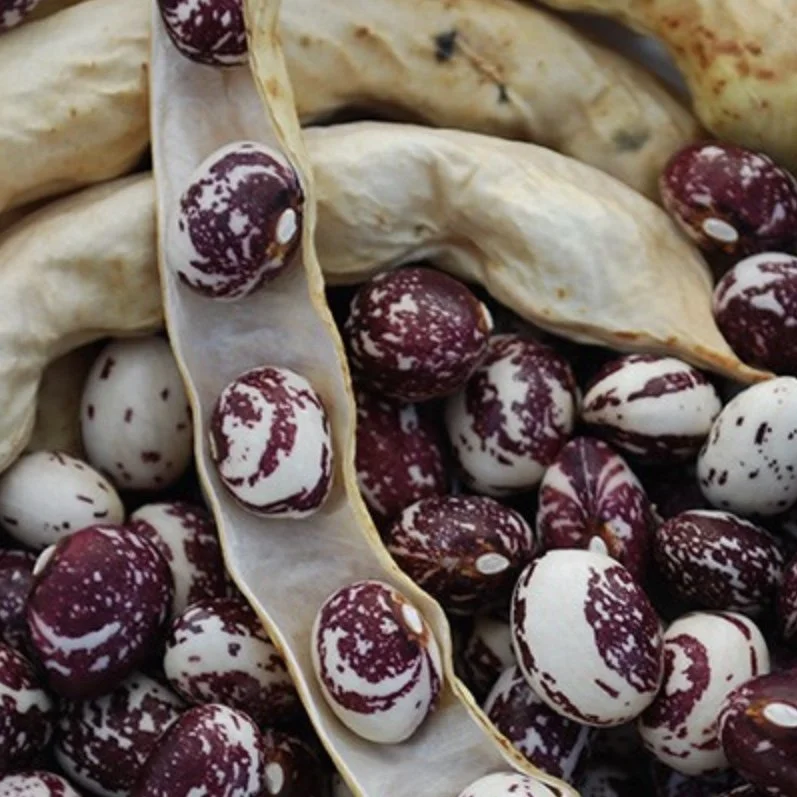 Good Mother Stallard