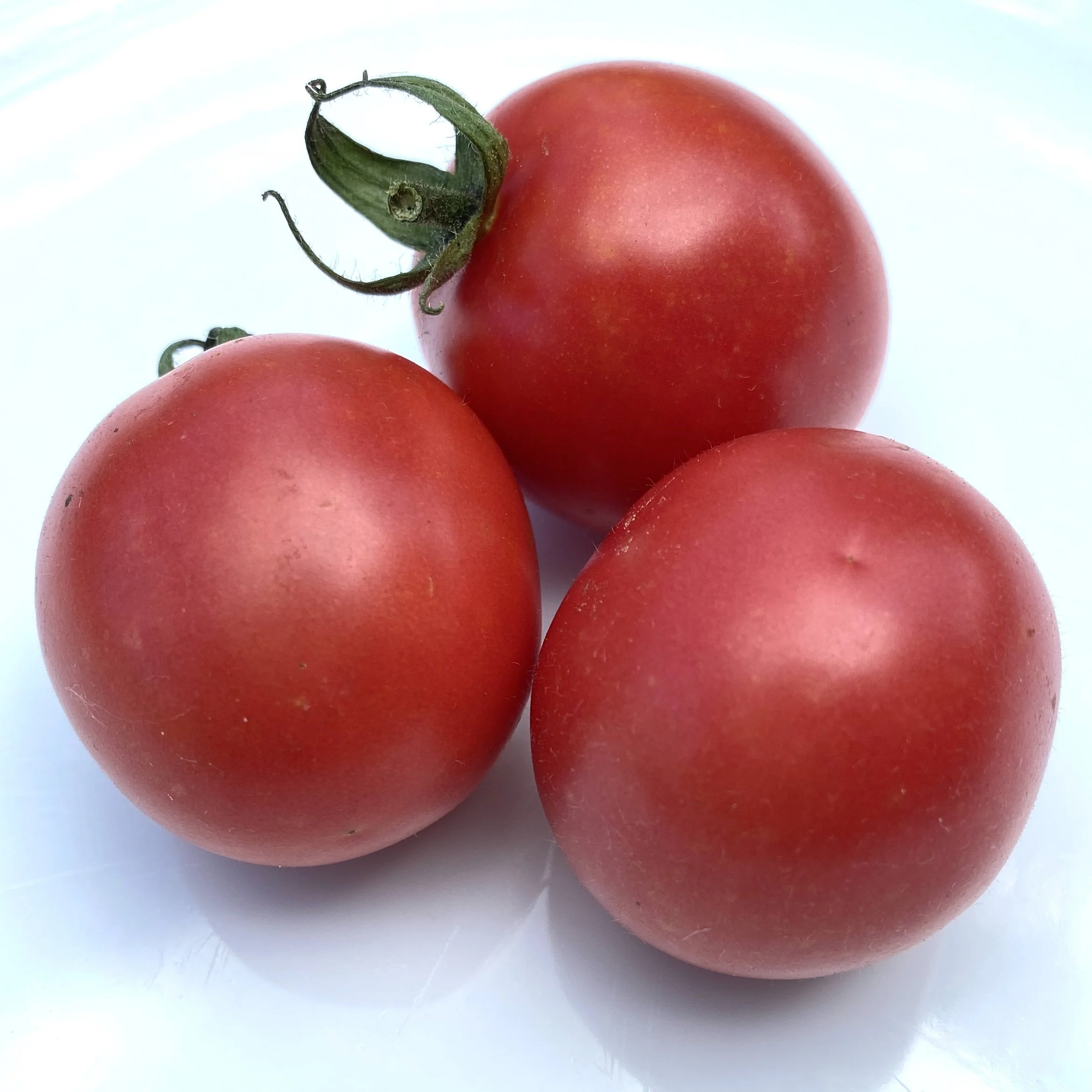 Pink Plum
