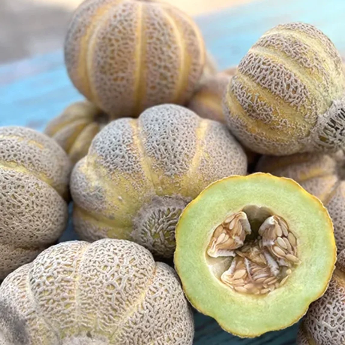 Jenny Lind Melon — Farmacie Isolde