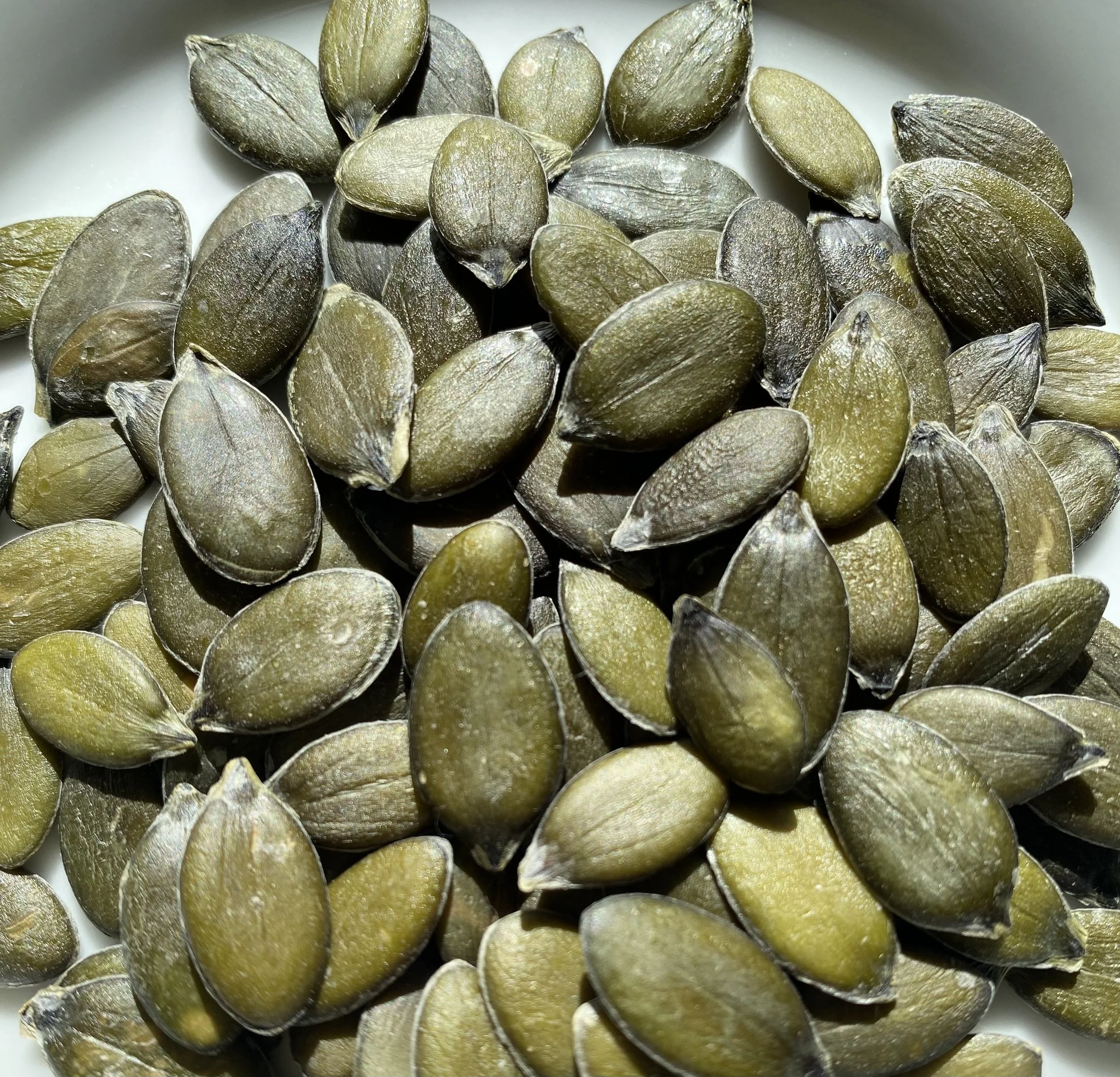 Hulless Oilseed Pumpkin