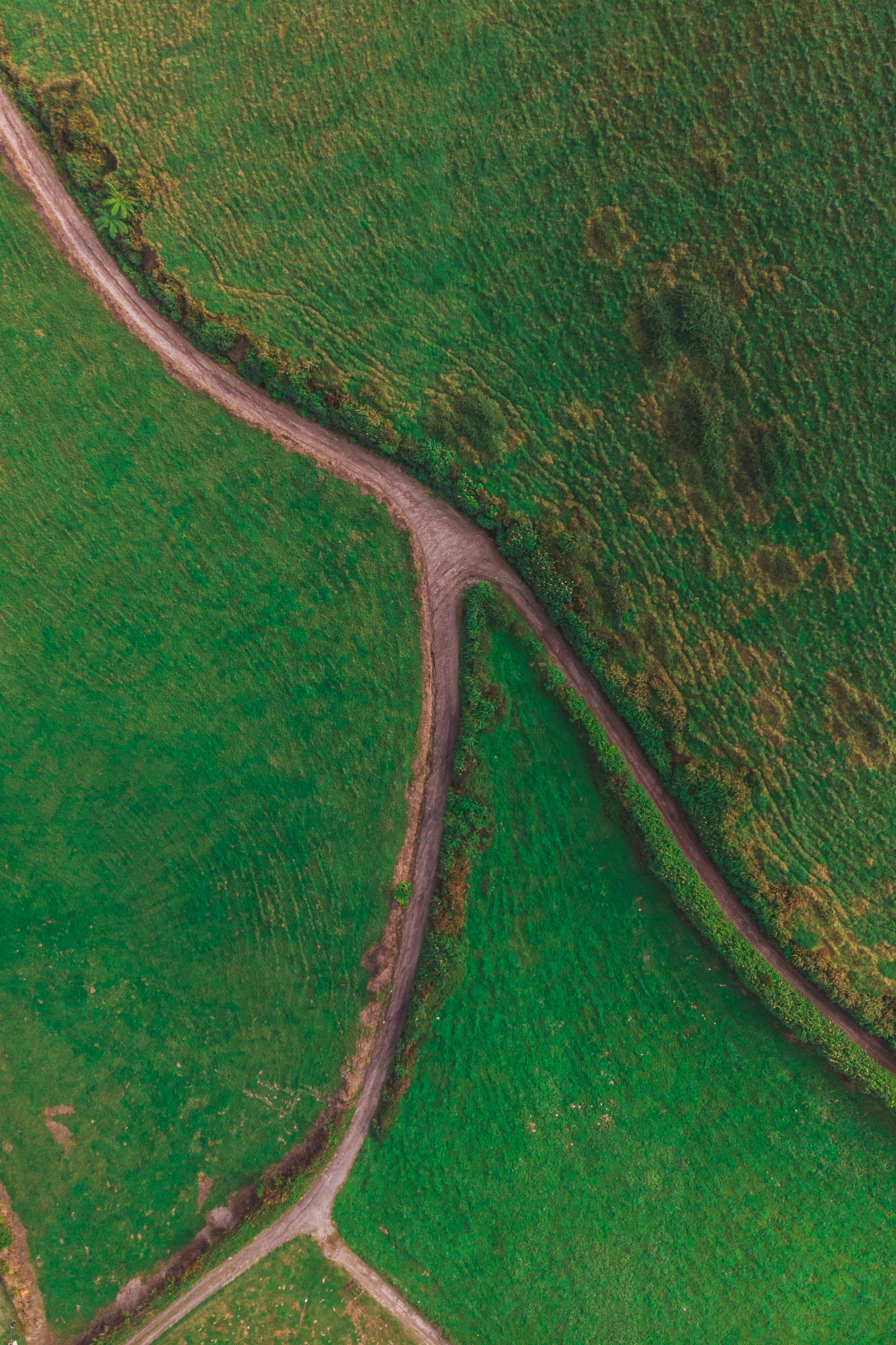 DJI_0296.jpg