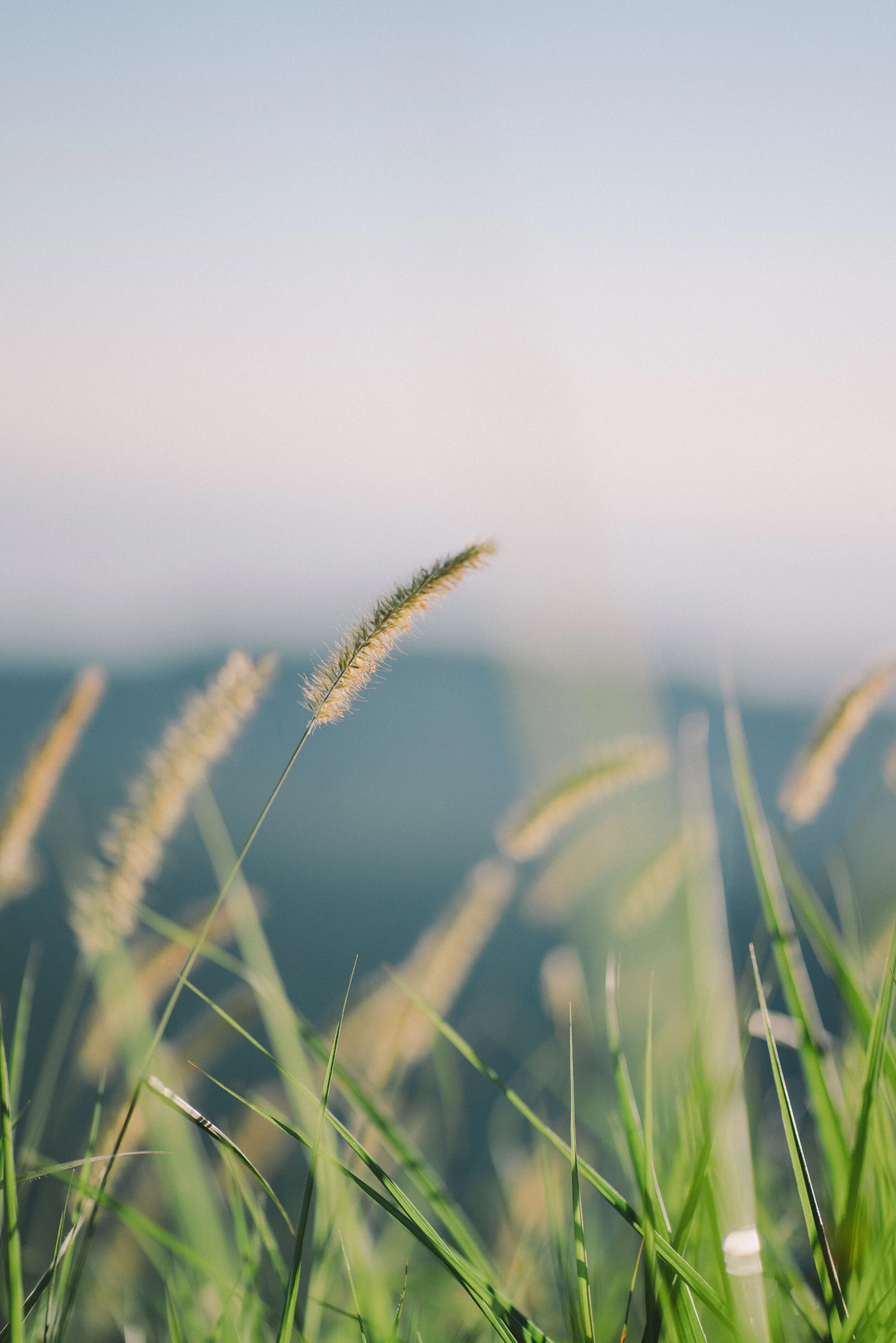 Bali sunrise detail for Merrell.