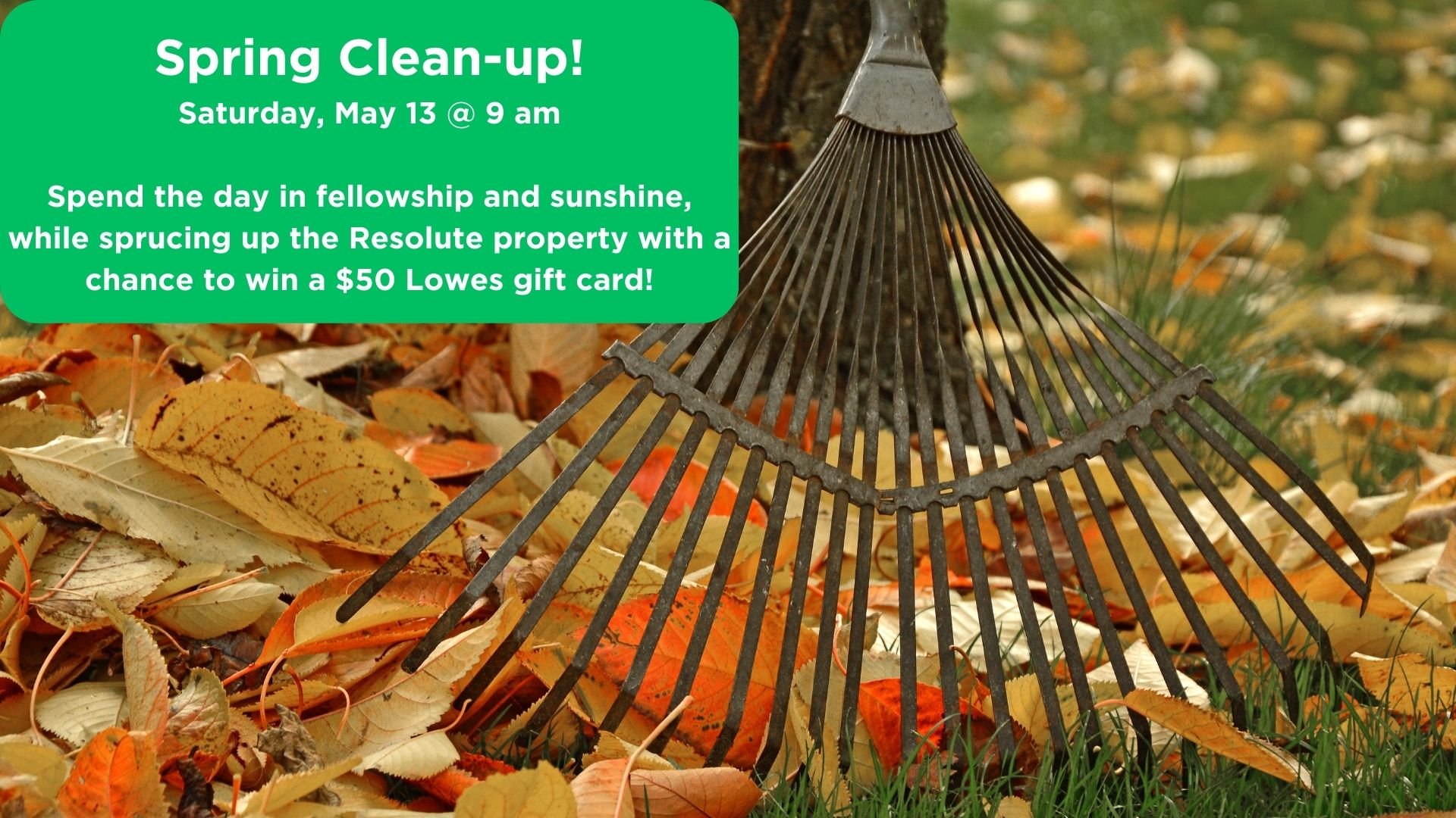 Spring Clean-up Day