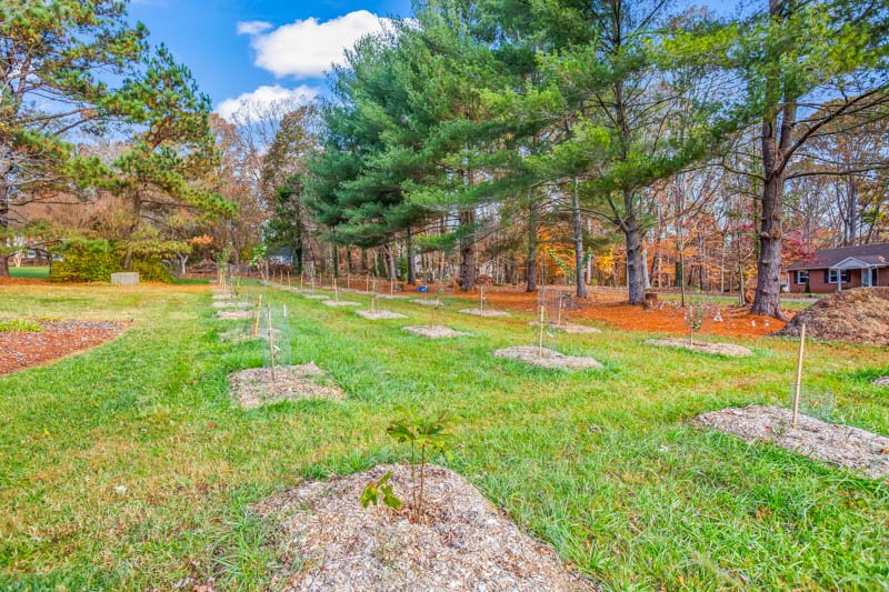 3409 Mill Run Lane-16.jpg