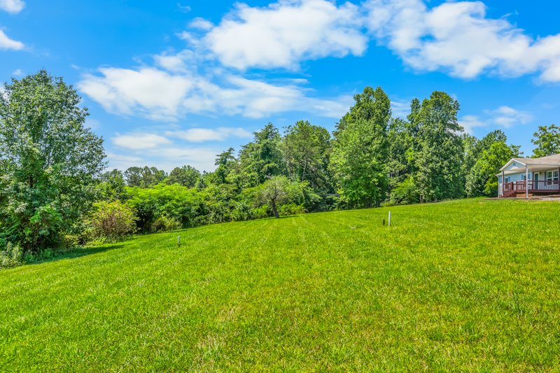 173 Old Low Gap Road-39.jpg
